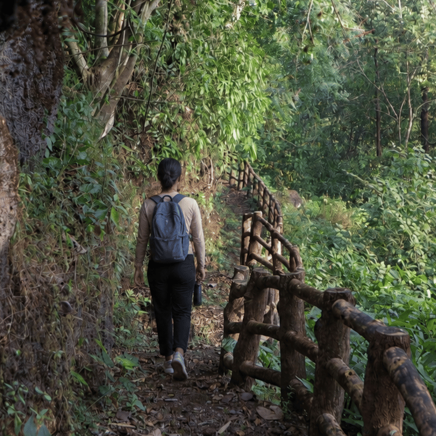Walk in the Woods
