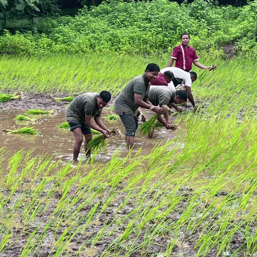 Village Walk Bird Watching Visit to Gowardhan Village