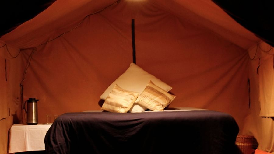 Let s Camp Junga Deluxe Tents in Chail