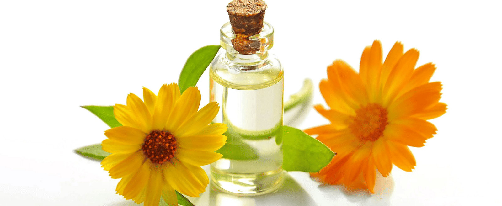 A glass bottle filled with an oil and two yellow flowers placed beside it.