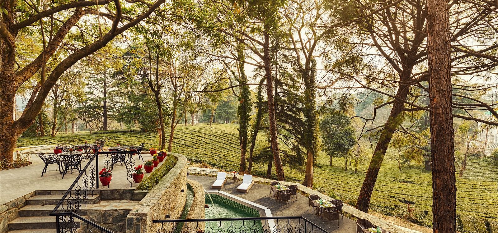 Exterior of INFINITEA Dak Bungalow, Palampur surrounded by greenery