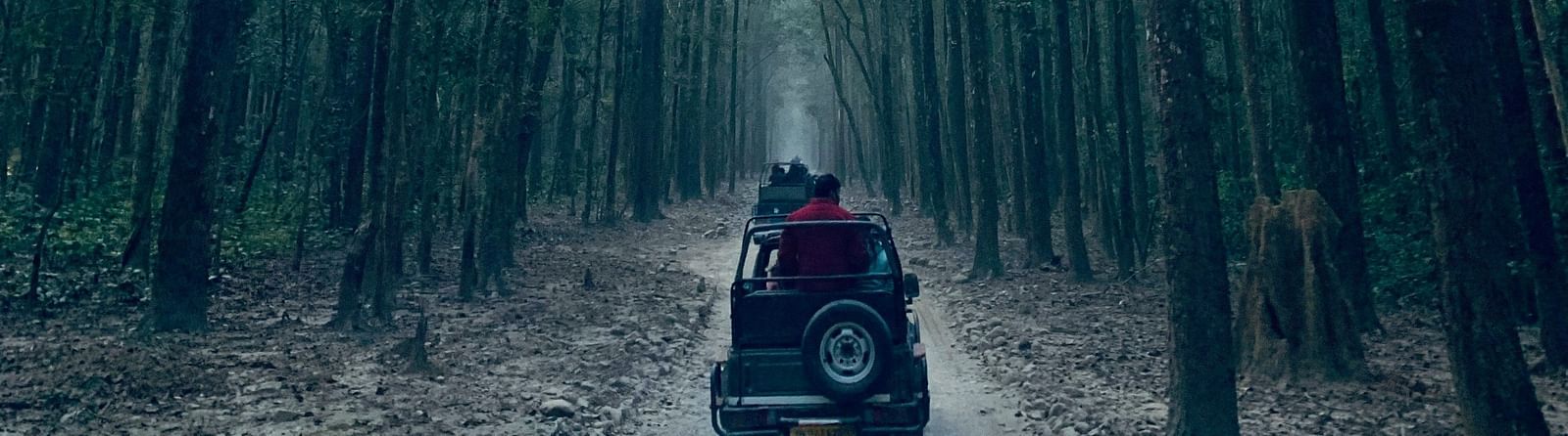 A jeep driving through on off road in a forest