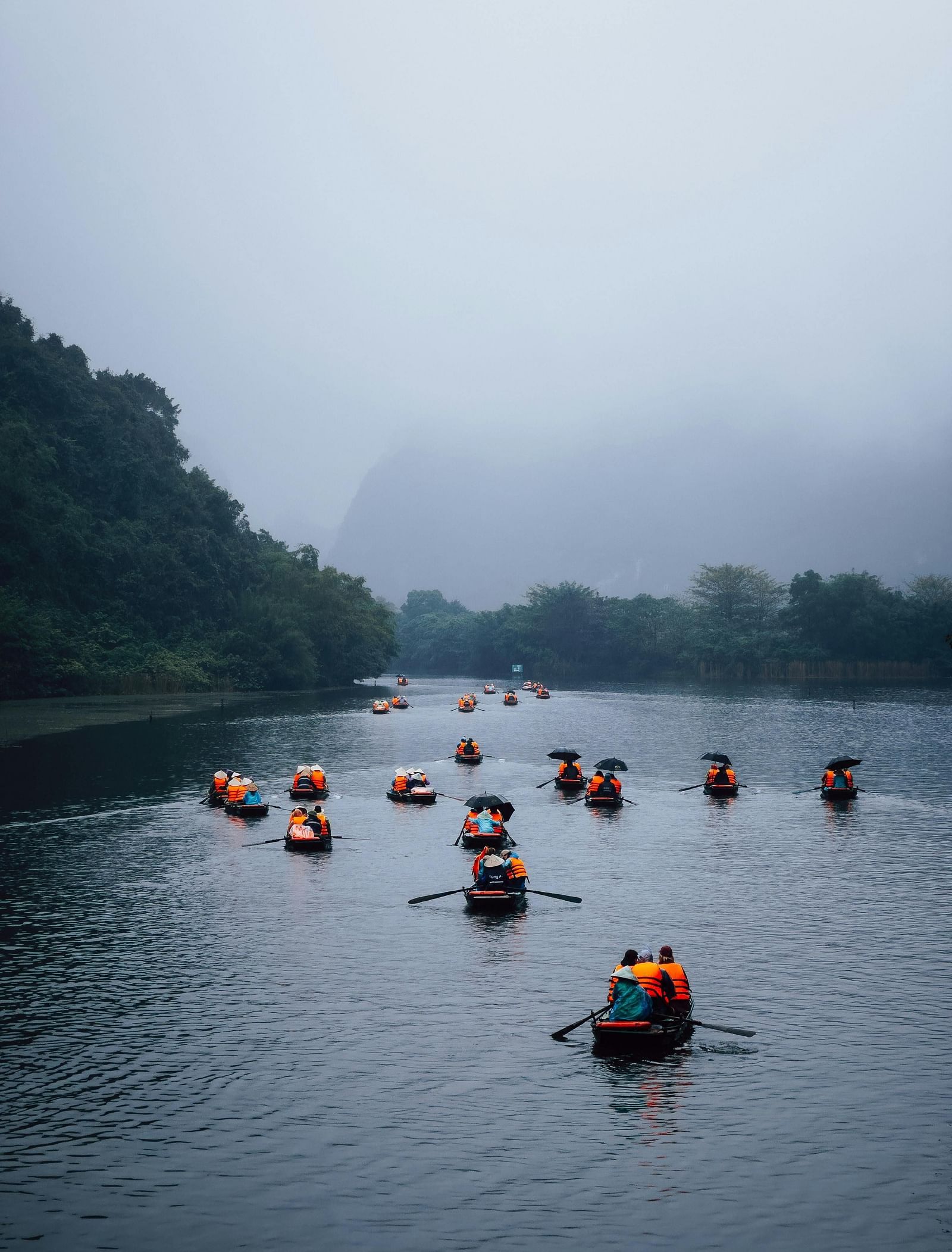 People kayaking in a lake on a foggy day with forest cover in the distance.