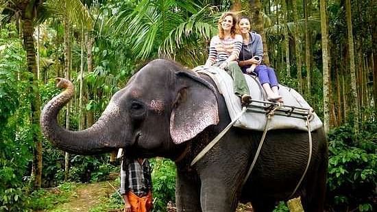 Two people sitting on the back of an elephant, surrounded by trees