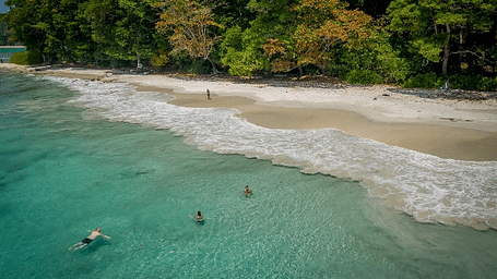 A  beach with gentle waves lapping against the sandy shore under a clear sky.