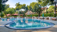 Resort swimming pool surrounded by lounge chairs and tropical foliage.