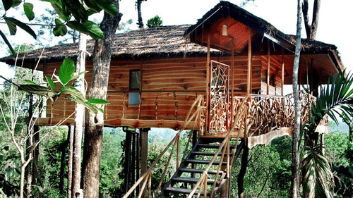 Tranquil Resort, Wayanad Wayanad tranquil