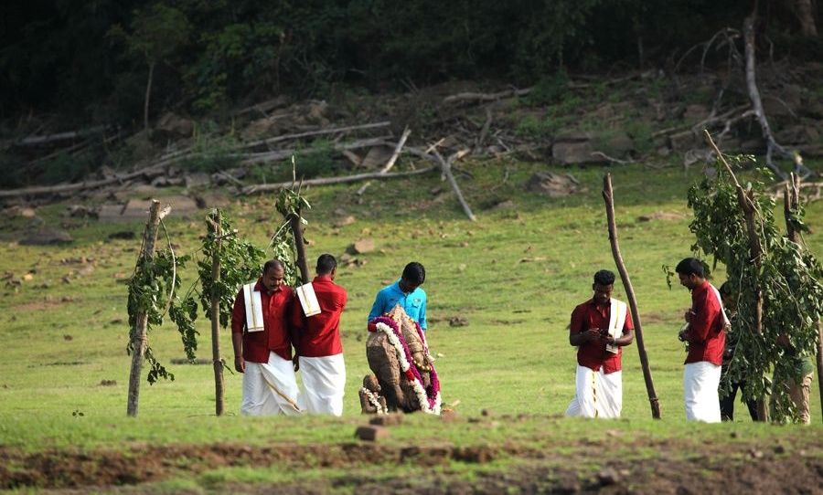 Puja preparations at Mastigudi temple.