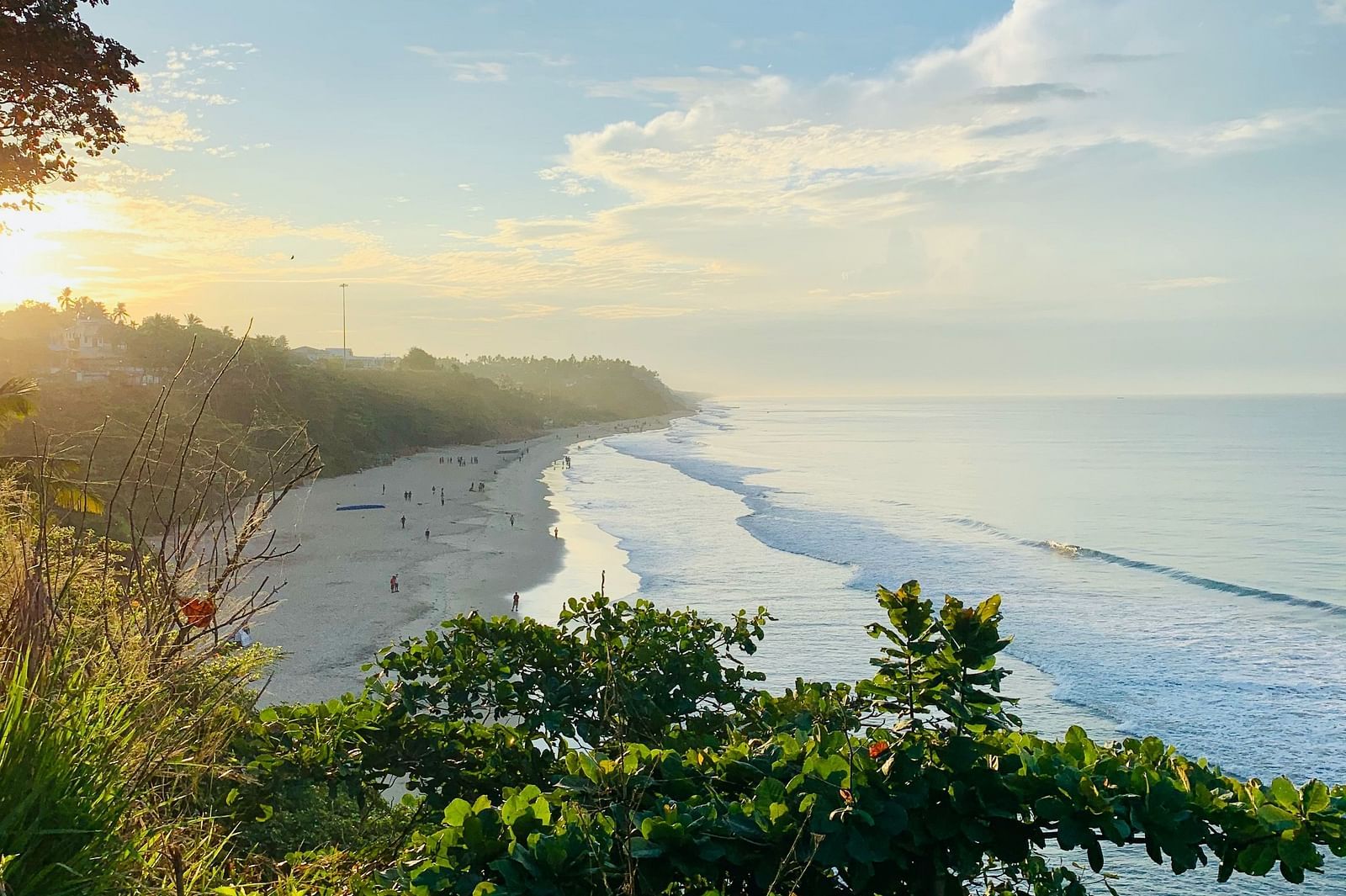 Aerial shot of a beach with trees on one side