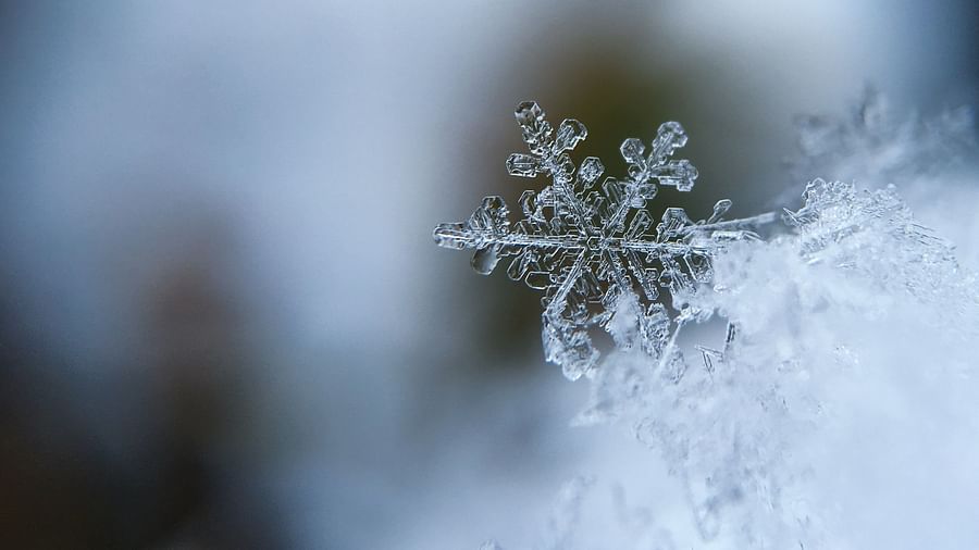 snowflake on a snowy surface