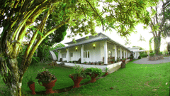 greenery surrounding the stay in Wayanad