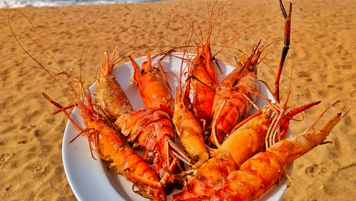 red lobsters on a plate