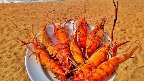 red lobsters on a plate