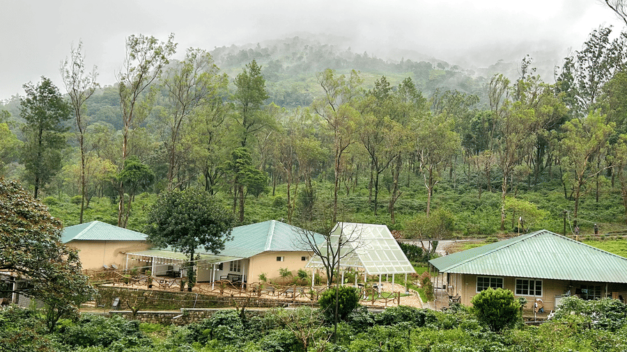 Facade view of Ibex Resort, Valparai—the best resort in Valparai—surrounded by lush greenery, tall trees and misty mountains.