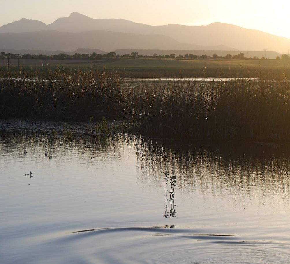 View of a ripple in a river surrounded by grass