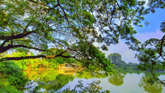 An overview of Jagannath Bari in Agartala with a tree in the foreground