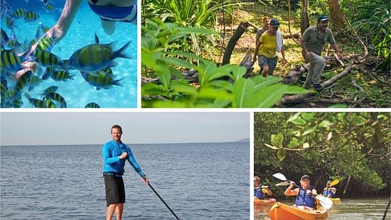 collage of things to do in Havelock