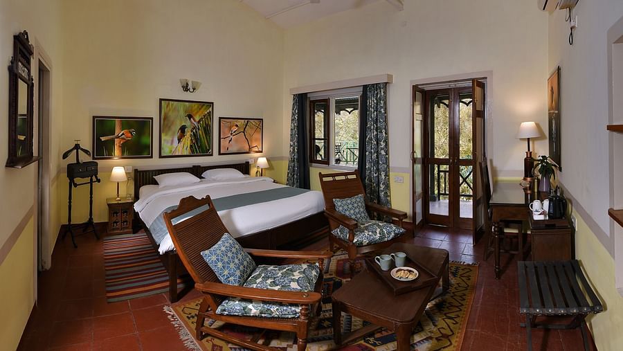 Airy Treepie room at the GH