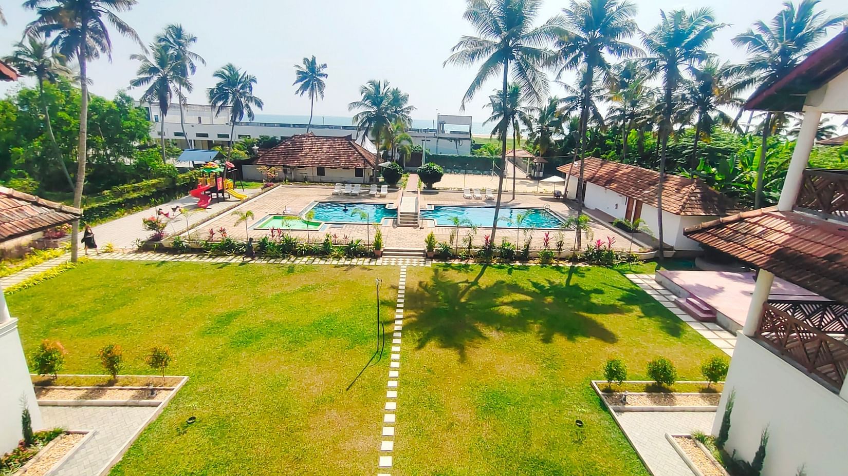 Swimming pool surrounded by palm trees