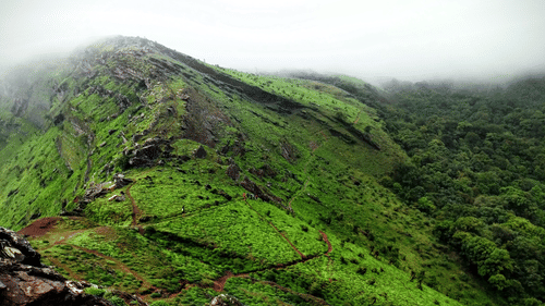 Steep hillsides blanketed in vibrant green vegetation.