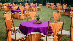 Events in jim corbett- The Golden tusk