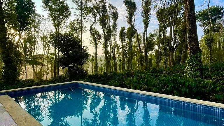 Pool at MWL with a view of the coffee estate