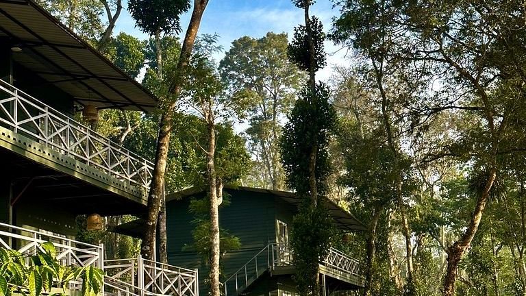 Tamarind Canopy Luxe Cabins at MWL