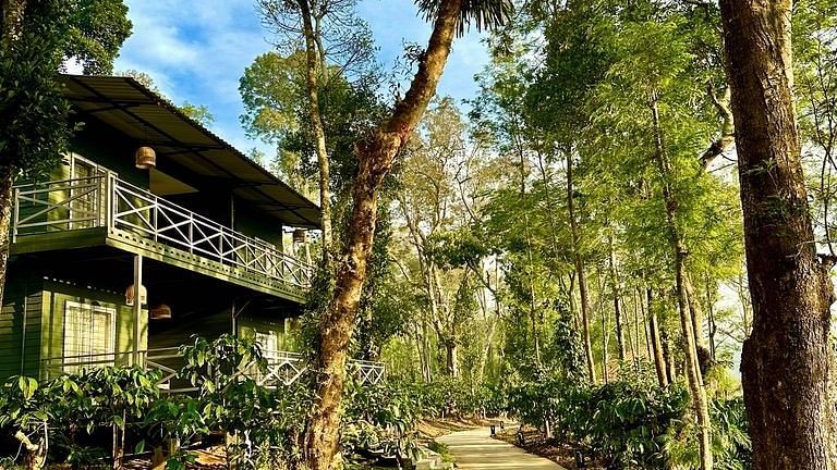 Walking Trail around the Tamarind Canopy Luxe Cabins At MWL