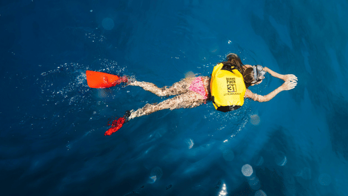 a woman snorkeling in a waterbody with a mask and paddle shoes