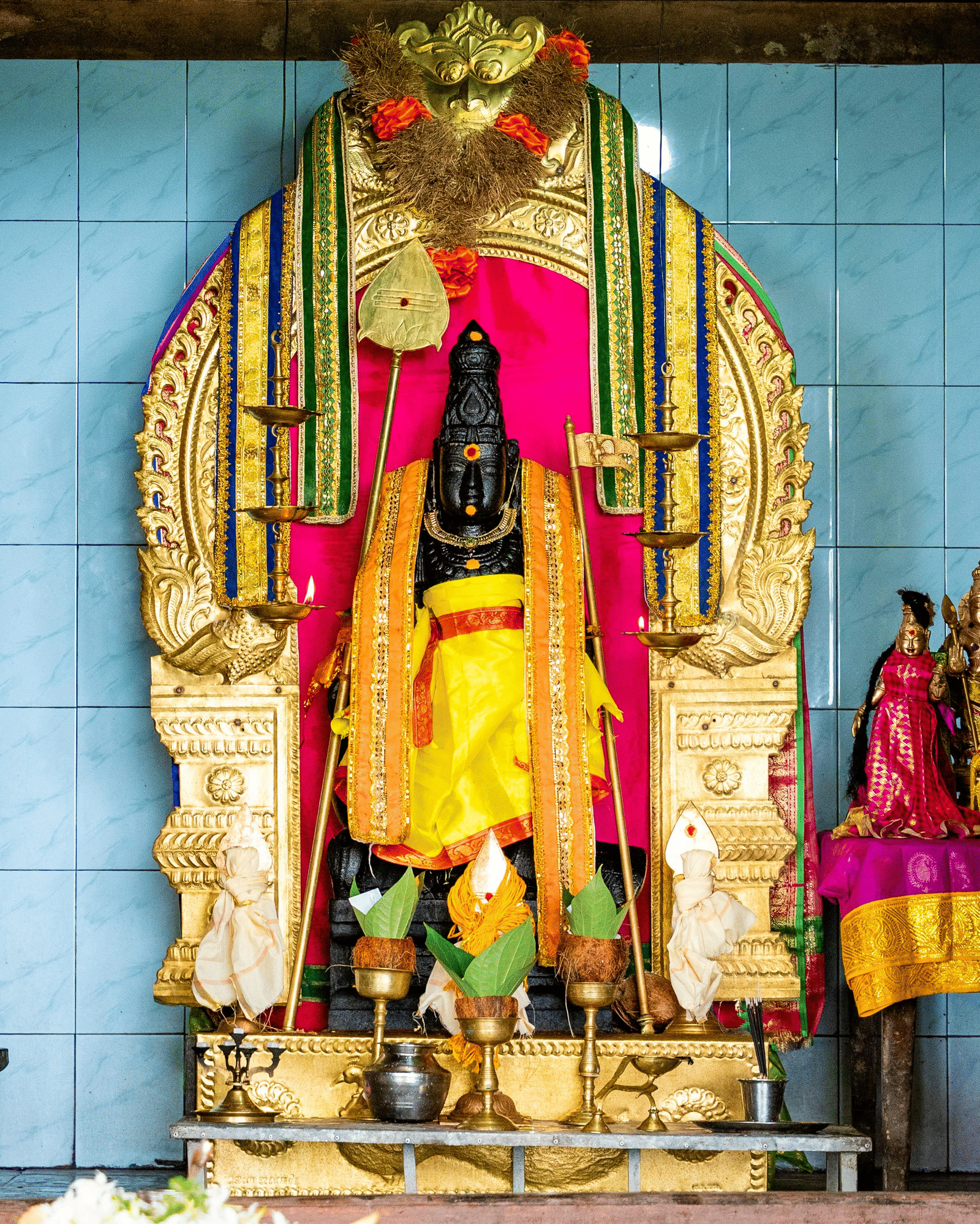 pexels-thilina-alagiyawanna-3266092-36873205