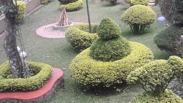 A bird's-eye view of a landscaped garden with neatly trimmed bushes and a pathway - Abad Copper Castle, Munnar