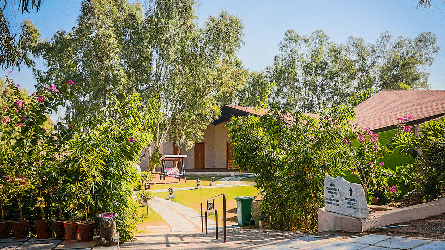 A pathway leads to a building with a sloping roof, surrounded by lush greenery and flowers.- Bamboo Saa Resort & Spa, Udaipur
