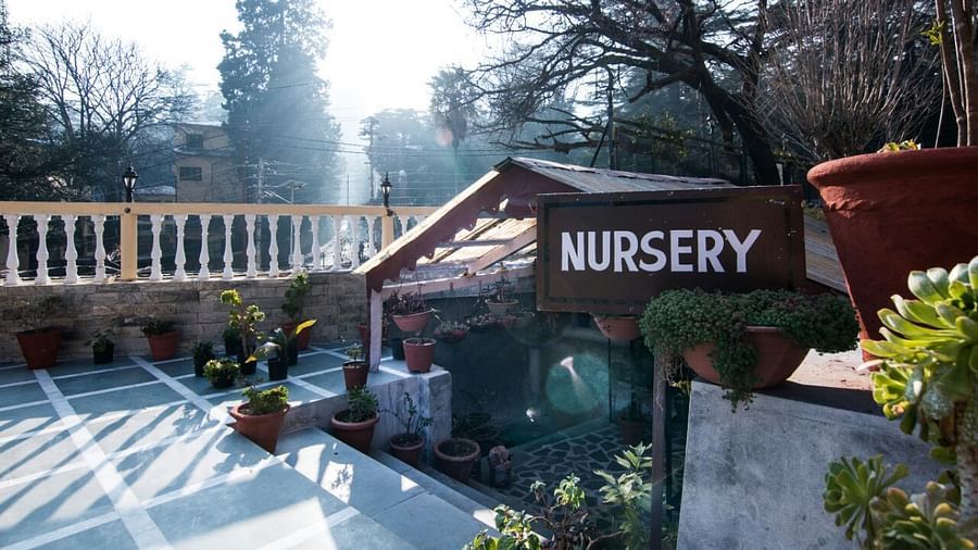 The Pavilion Hotel, Nainital Nainital IMG 6525