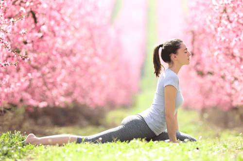 A woman in yoga pants is doing a yoga pose in a field of pink flowering trees