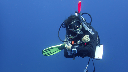 Barefoot Scuba Resort | Scuba diver with a green snorkel and fins exploring the deep blue