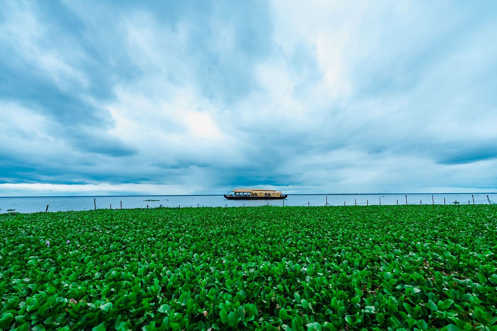 An image of a lake view with a boat drifting under soft clouds. - Rhythm Kumarakom.