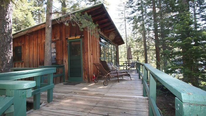 A wooden cabin with a long, elevated wooden walkway leading to its entrance, surrounded by lush trees