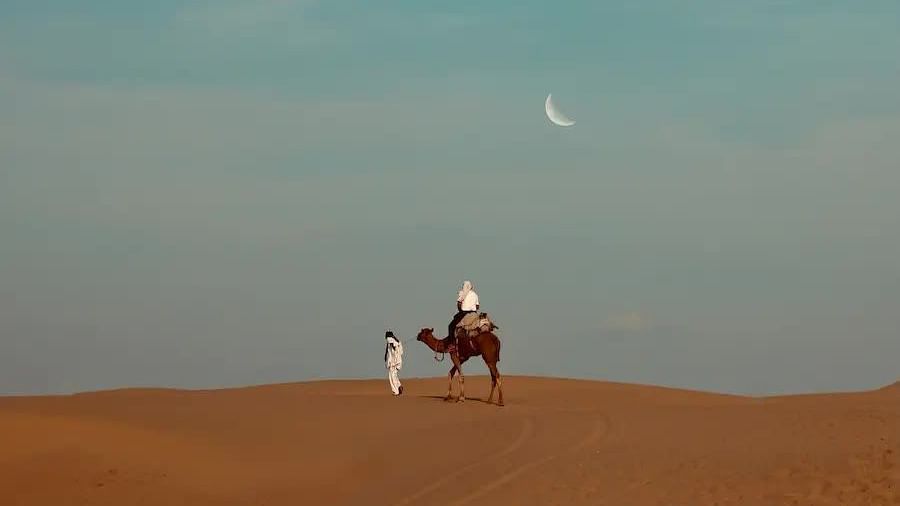 A caretaker walking his camel through the desert during the evening