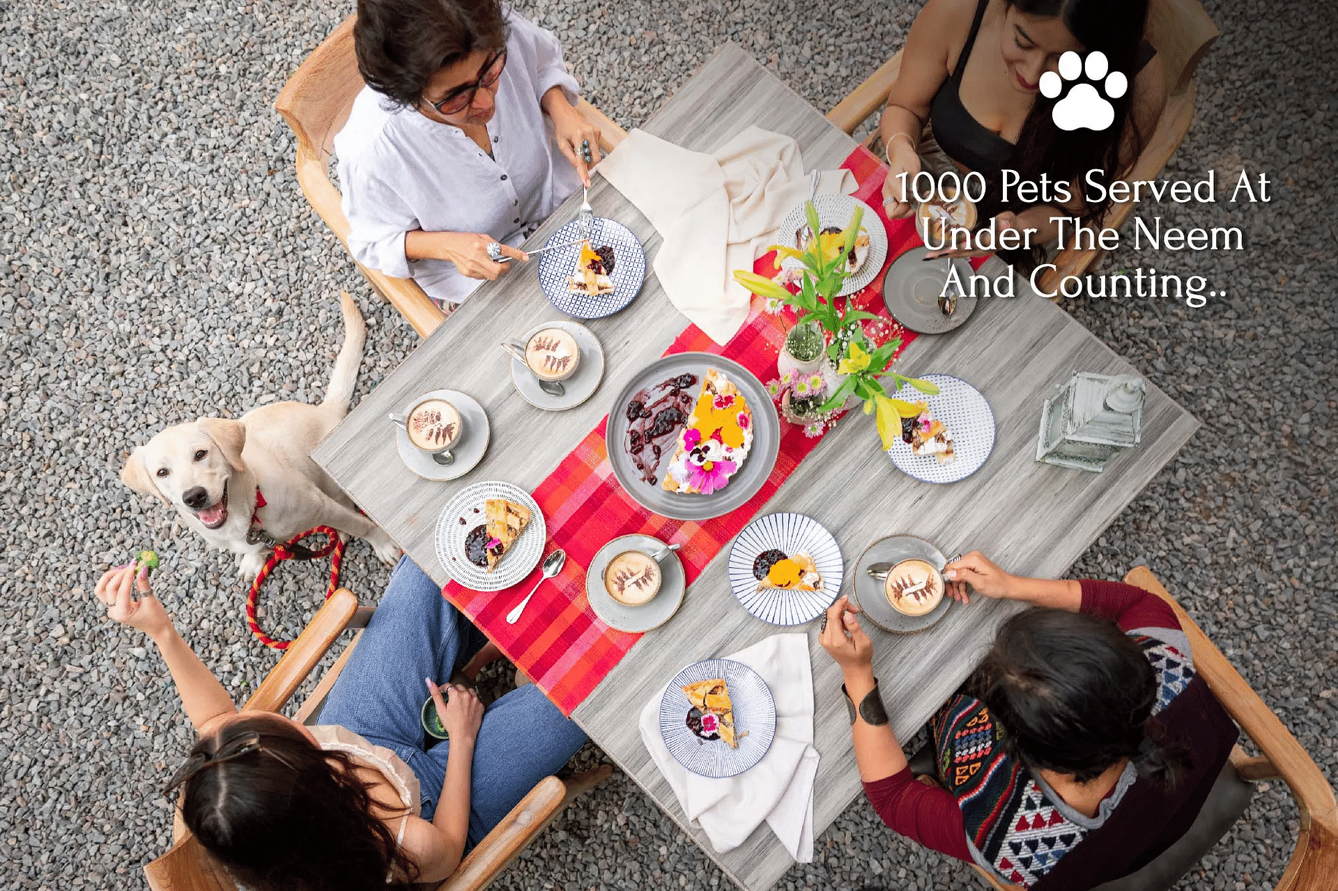 Aerial view of three people and a dog seated around a picnic meal at Karma Chalets.