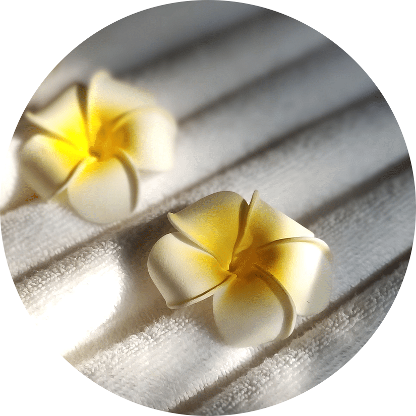 Two yellow flowers on striped shadows.