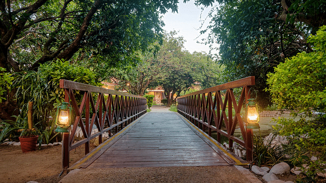 Wooden bridge walkway through lush greenery and trees at the resort.