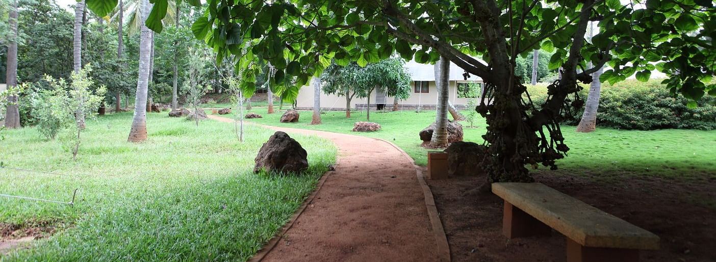 A path winding through a park with trees and a bench - Shreyas Retreat