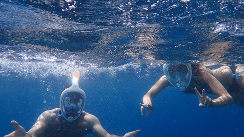 an overview of two people snorkelling and posing for a picture underwater.