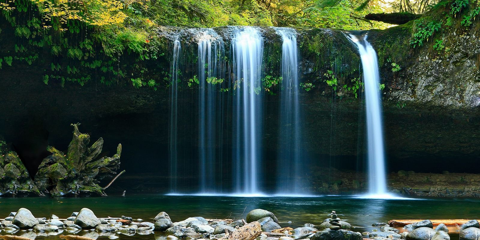 a waterfall surrounded by greenery during daytime
