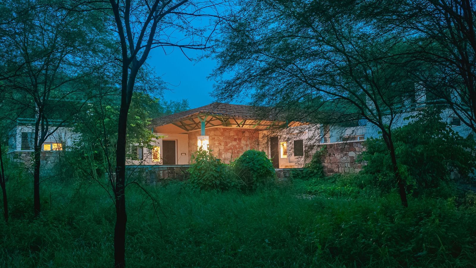 NIght Sky images of the Facade, Trees N Tigers, Sariska