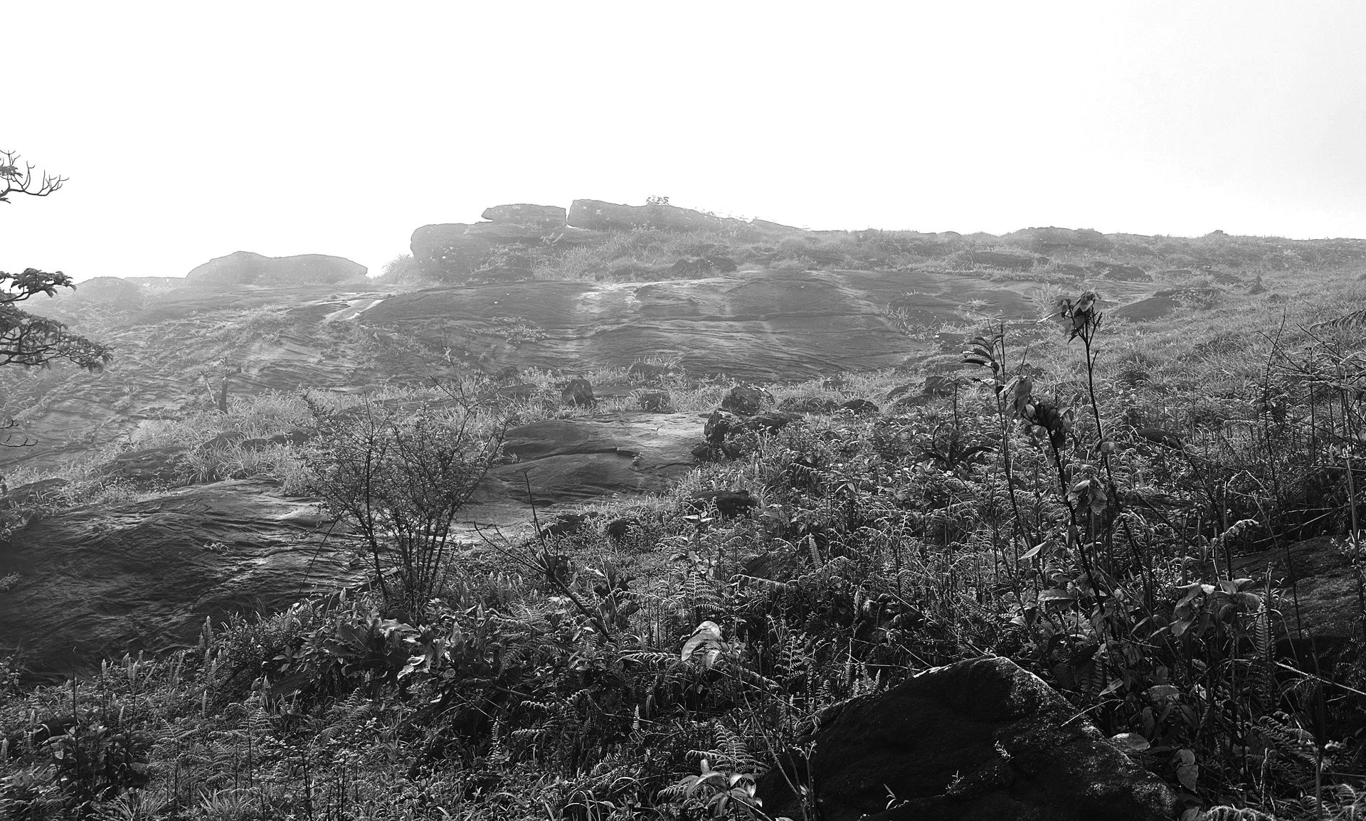 Black and white photo of a misty, rocky hillside.