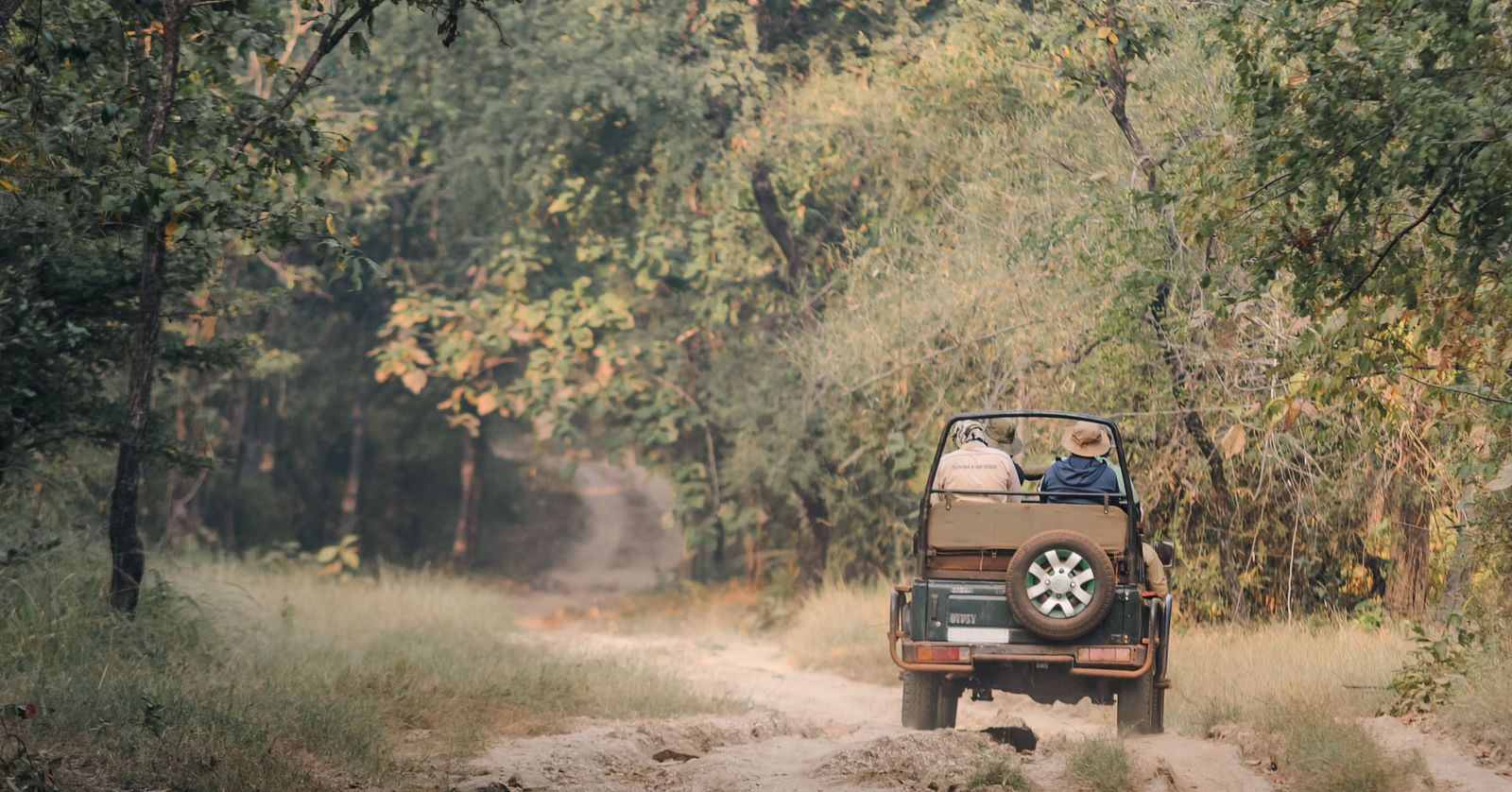 A jeep moving on a trail in the jungle and trees can be seen in the background.