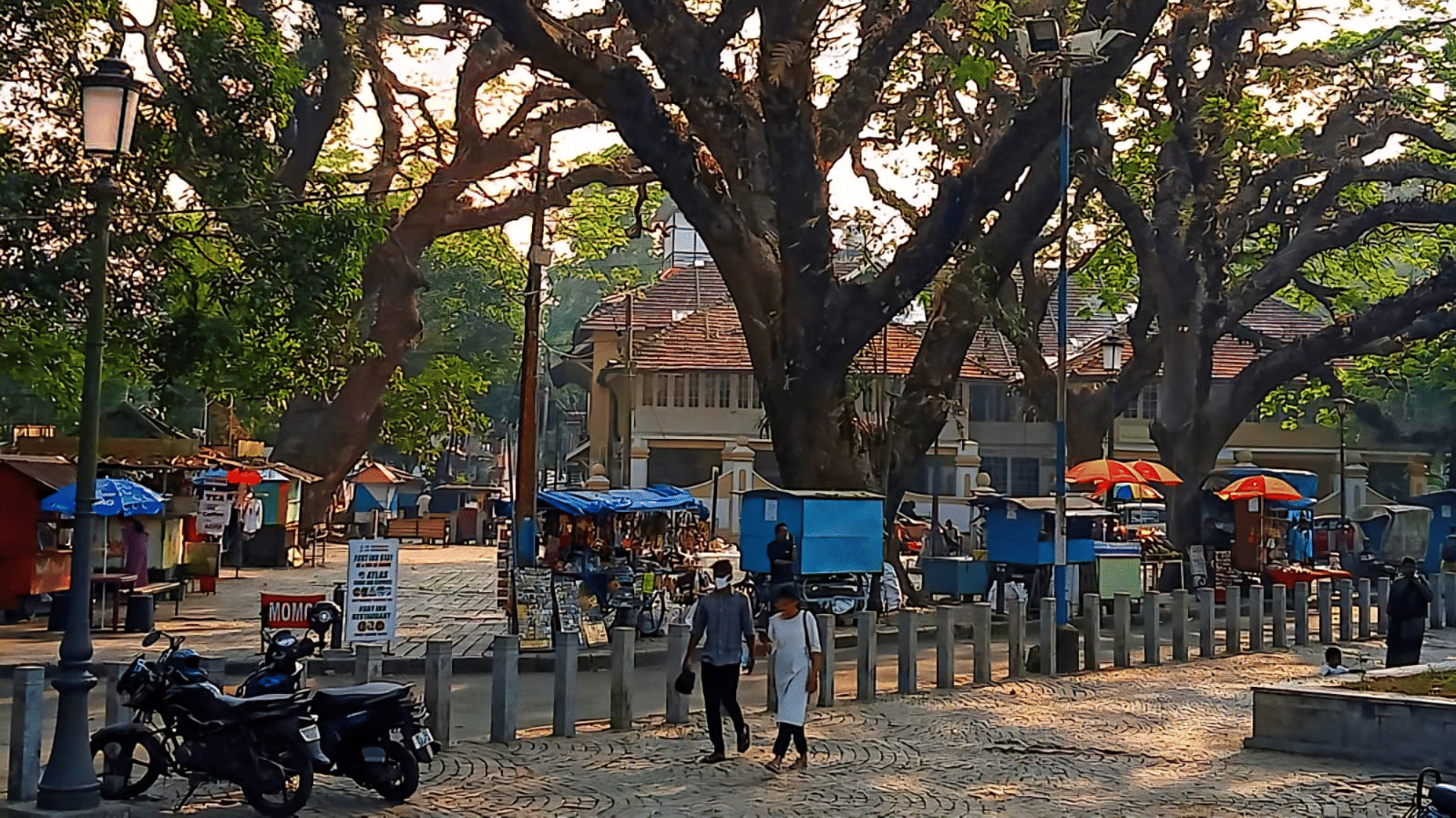 People walk under the spreading canopy of massive trees in a historical square lined with small shops in Fort Kochi.