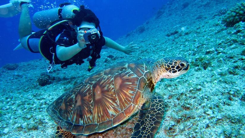 a person taking a photograph of a tortoise underwater while scuba diving