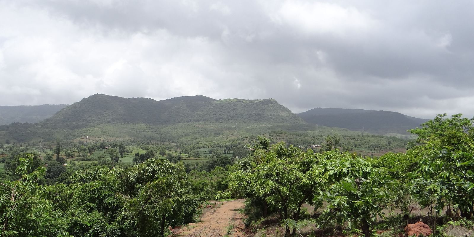 A view of lush trees in the foreground with mountains in the background beneath a cloudy sky at Riverside Inn.